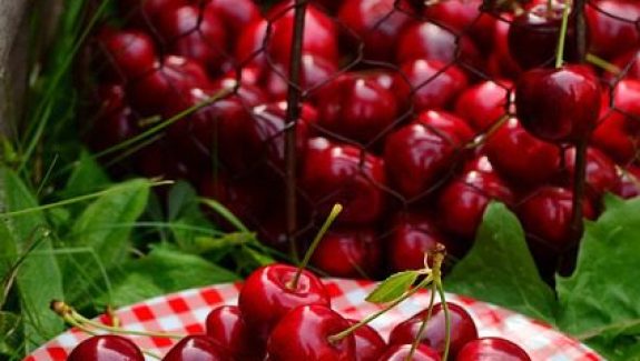 kersen-op-de-taart-blog-cherries-1503977_640